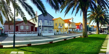 Rosa D'Aveiro, Aveiro, Portugal