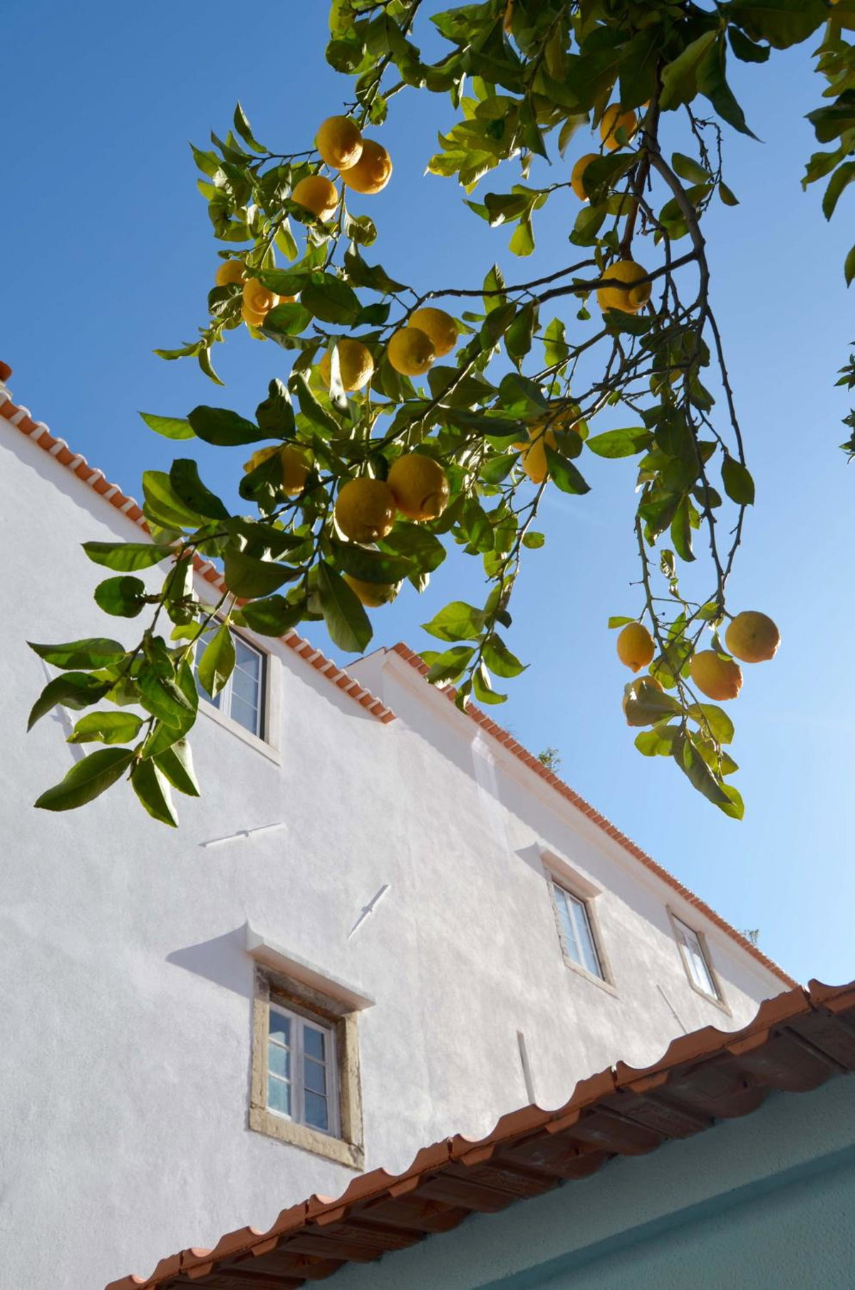 Proa d'Alfama Guest House, Portugal