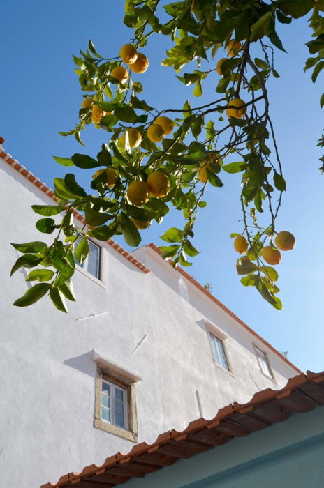 Proa d'Alfama Guest House, Lisbon, Portugal