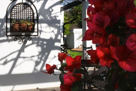 Lemon & Lime Guest House, Bloemfontein, South Africa