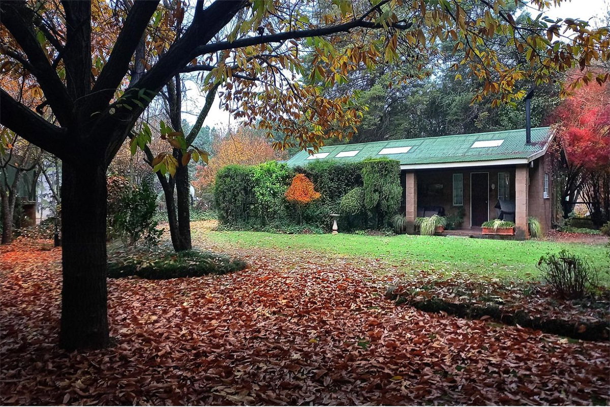 Hotel · Great Dane at Brittlewood, Underberg