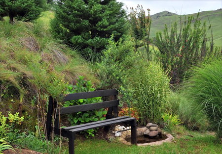 Great Dane at Brittlewood, Underberg, South Africa