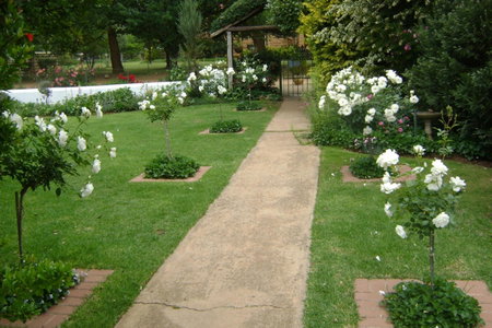 Rosewood Corner, Clarens, Clarens, South Africa