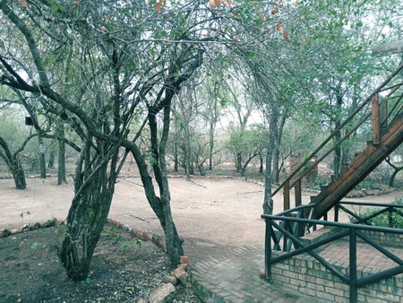 Kruger Dreams Lodge, Marloth Park, South Africa