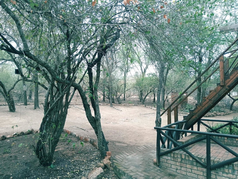 Kruger Dreams Lodge, Marloth Park, South Africa