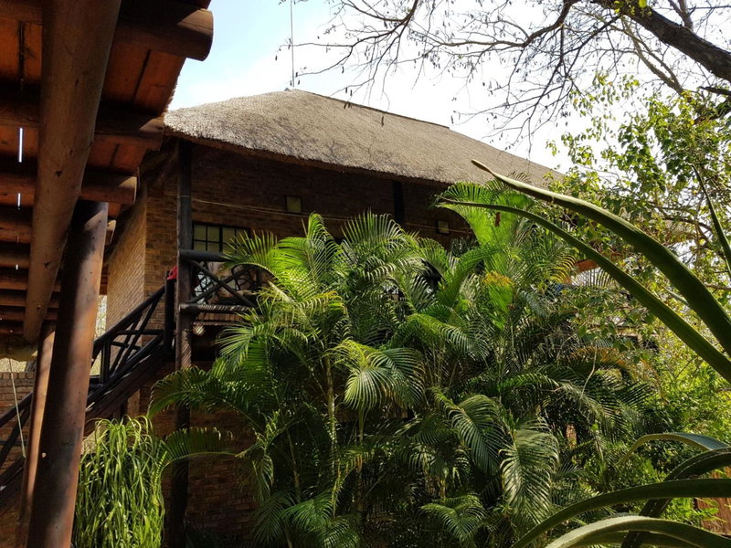 Kruger Dreams Lodge, Marloth Park, South Africa