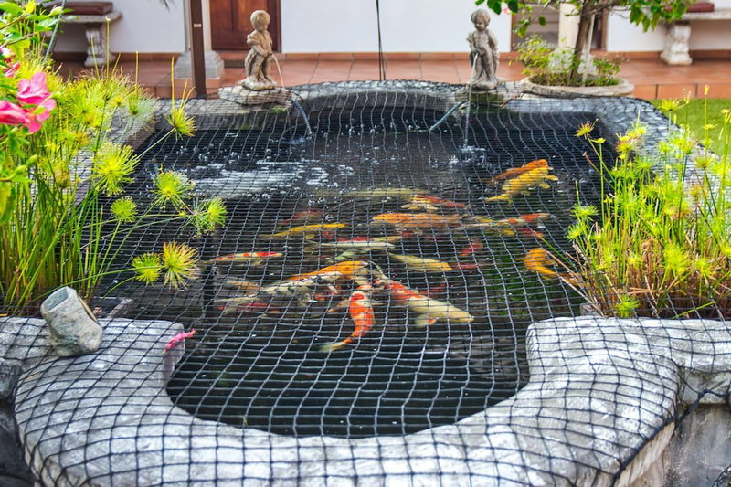 Centre Court B & B, Durban North, South Africa