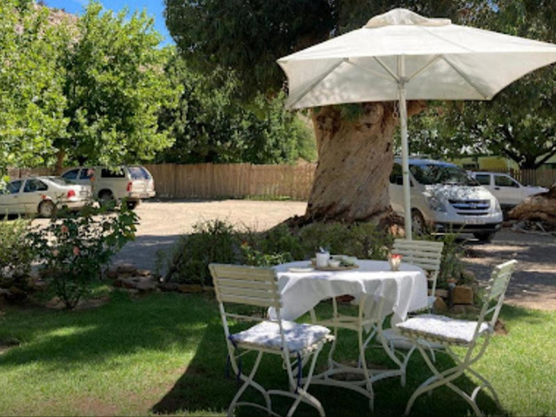 Weltevrede Fig Farm, Prince Albert, South Africa