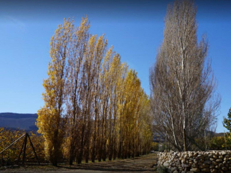 Weltevrede Fig Farm, Prince Albert, South Africa