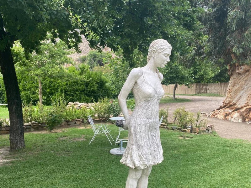 Weltevrede Fig Farm, Prince Albert, South Africa