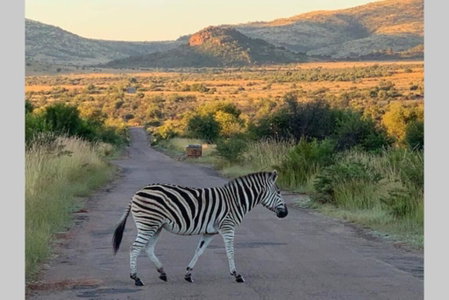 Rhino House with 3 bedrooms next to Pilanesberg and Sun City, Mogwase, South Africa