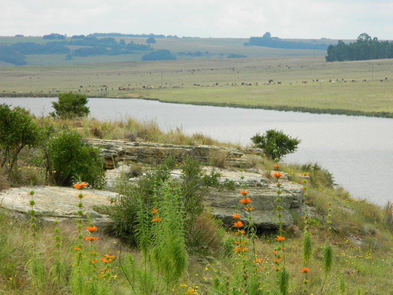 La Vista Farm Stay, Ermelo, South Africa