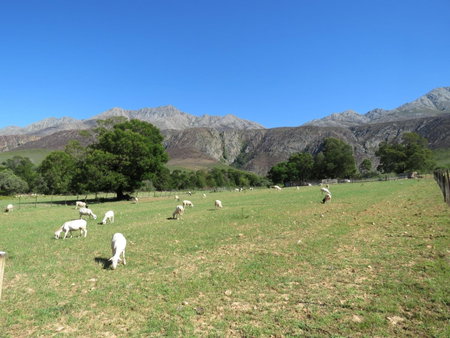 Swartberg Backpackers Booked for you Only No sharing, Matjiesrivier, South Africa