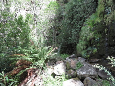 Swartberg Backpackers Booked for you Only No sharing, Matjiesrivier, South Africa