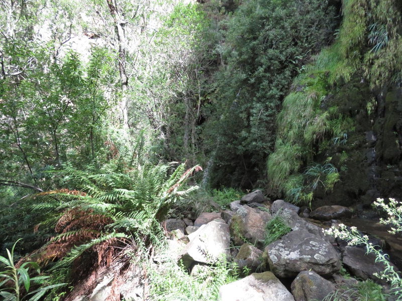 Swartberg Backpackers Booked for you Only No sharing, Matjiesrivier, South Africa