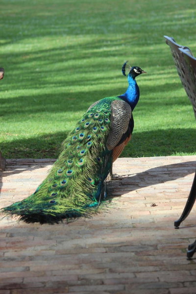 Argyll B&B, Oudtshoorn, South Africa