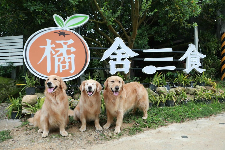 OrangeFarmerlife, Zhuolan, Тайвань