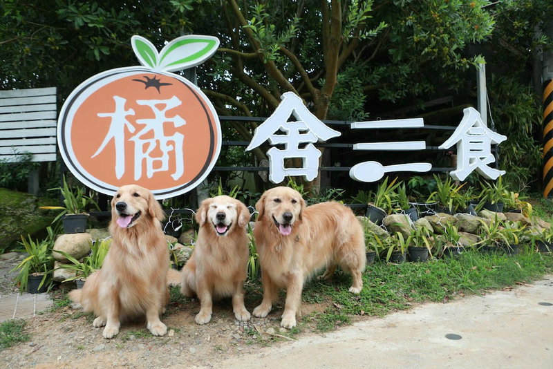 OrangeFarmerlife, Zhuolan, Тайвань