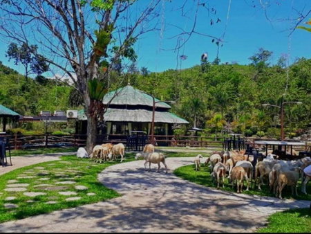 Balay Ni Tatay Farm Resort by Cocotel, Babatngon, Philippines