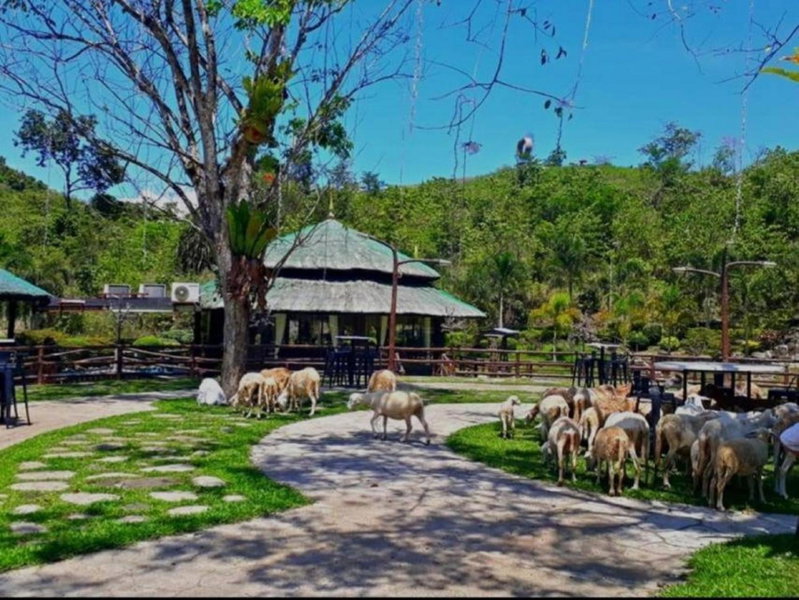 Balay Ni Tatay Farm Resort by Cocotel, Babatngon, Philippines