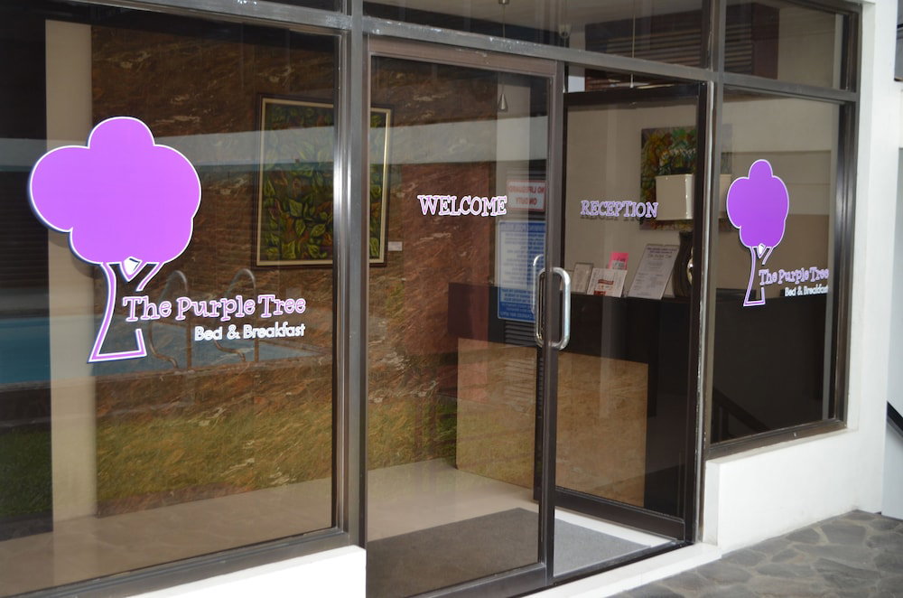 The Purple Tree Bed & Breakfast, Philippines