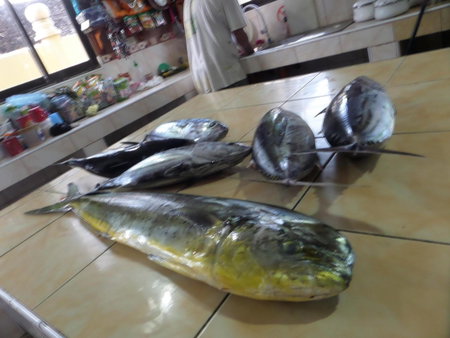Sailfishbay, San Isidro, Philippines