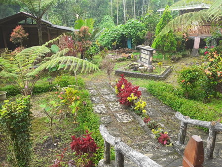 Ijen Miner Family Homestay, Banyuwangi, Indonesia