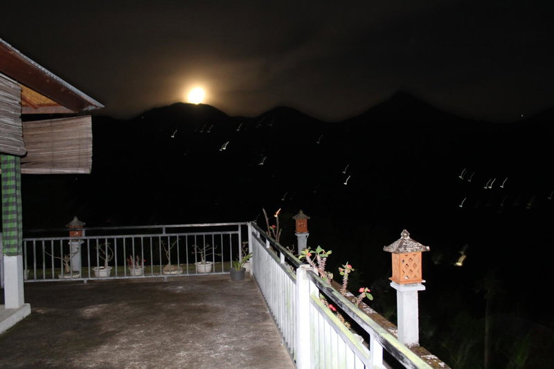 One Homestay and Warung, Munduk, Indonesia