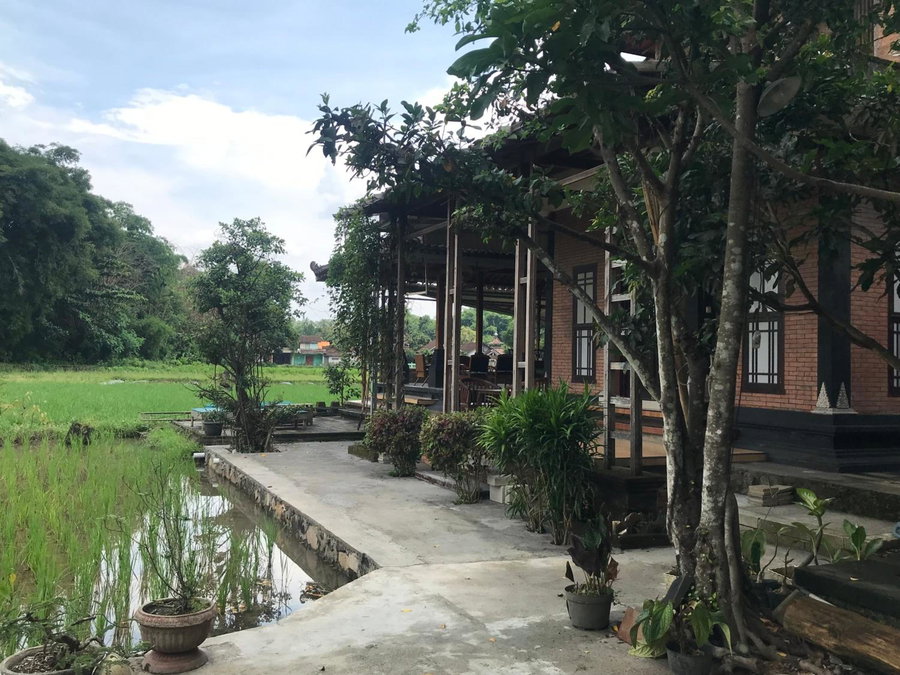Lotus 2 Guest House, Borobudur, Indonesia