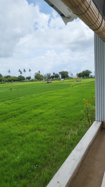 Kartika Villas, Lovina, Indonesia
