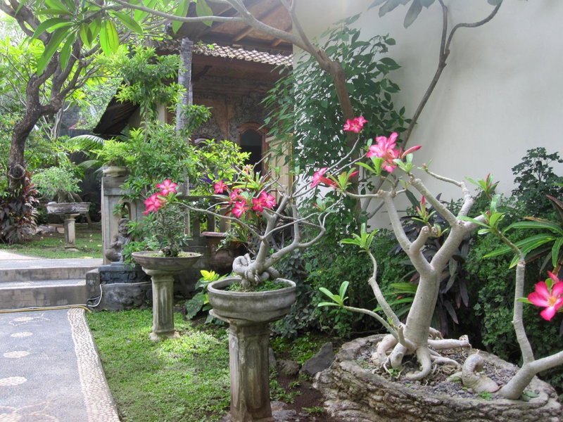 Galang Kangin Bungalows, Amed, Indonesia