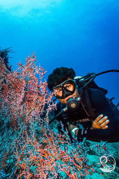 Oceans 5 Dive Resort, Gili Air, Indonesia