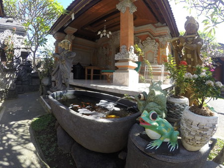Eka's Homestay, Ubud, Indonesia