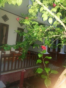 Family bungalow, Gili Meno, Indonesia
