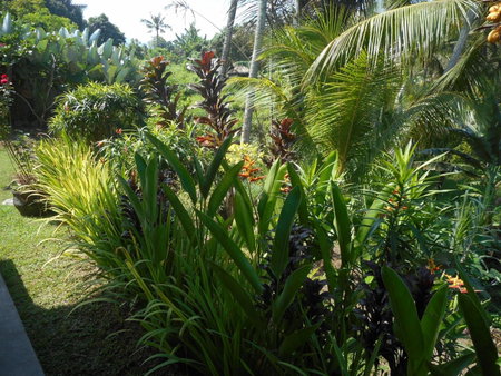 Cegeng Lestari Guesthouse, Sidemen, Indonesia