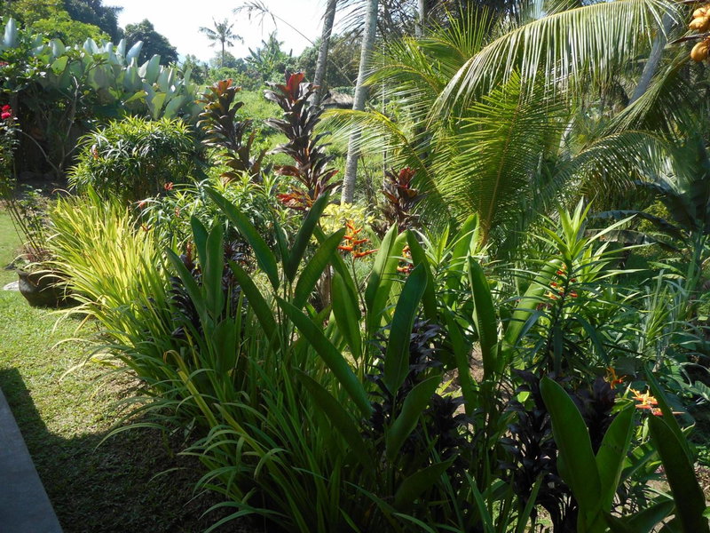 Cegeng Lestari Guesthouse, Sidemen, Indonesia
