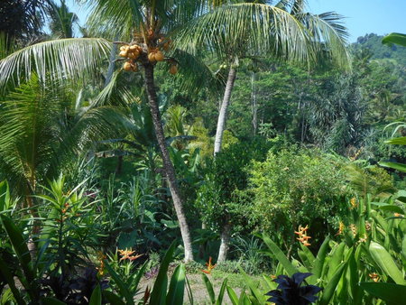 Cegeng Lestari Guesthouse, Sidemen, Indonesia