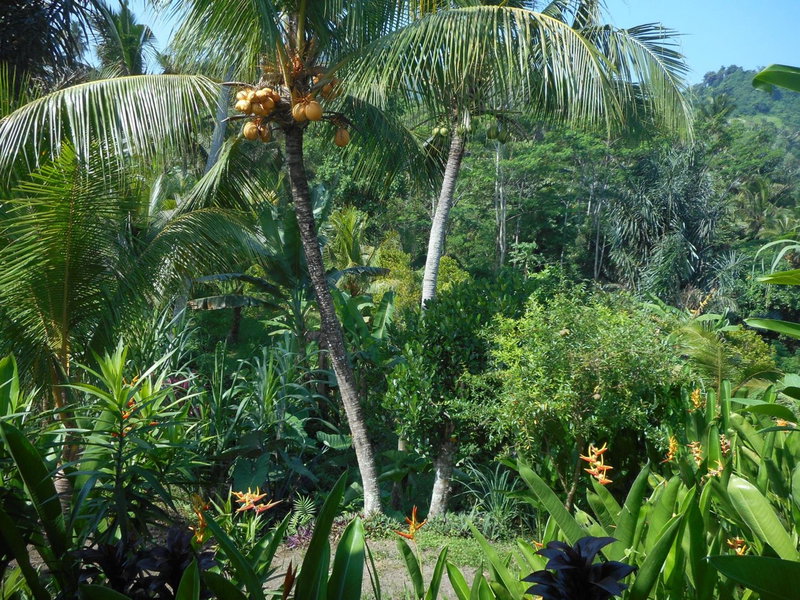 Cegeng Lestari Guesthouse, Sidemen, Indonesia