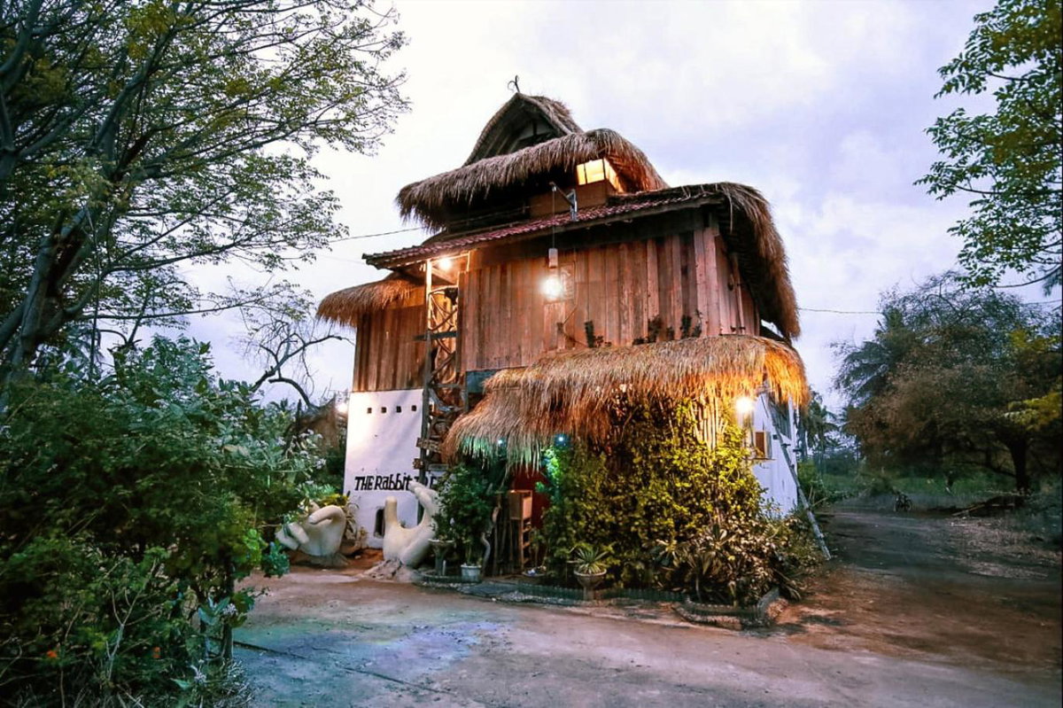 The Rabbit Tree Hostel, Indonesia