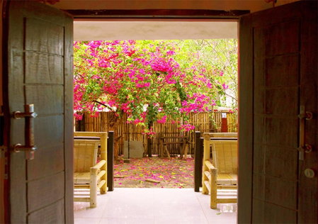 The Rabbit Tree Hostel, Gili Meno, Indonesia
