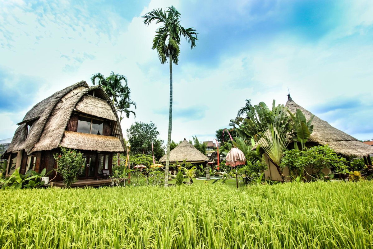 Hotel · Ubud Hidden Villa Yone village, Ubud