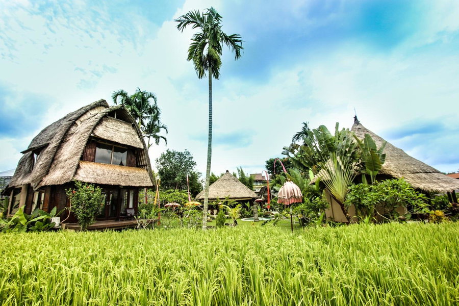 Ubud Hidden Villa Yone village, Ubud, Indonesia