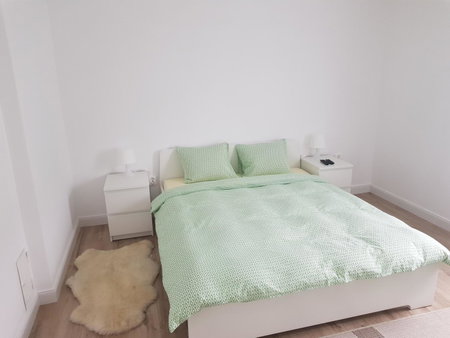 Luxury Apartment, Ramingstein, Austria