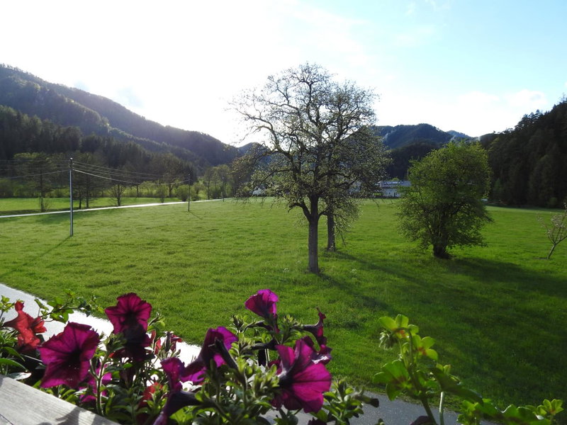 Bauernhof Moar, Kernhof, Austria