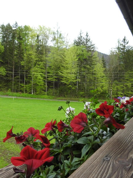 Bauernhof Moar, Kernhof, Austria