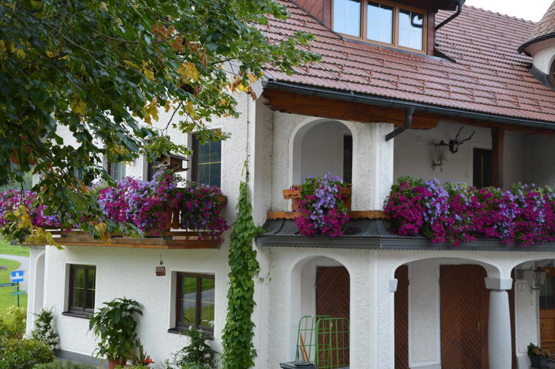 Pension Zenzlgut, Tiefgraben, Austria