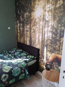 Vakantieverhuur Bienvenue, Boyl, The Netherlands