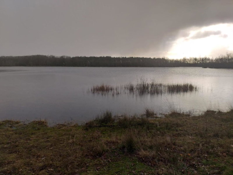 Vakantieverhuur Bienvenue, Boyl, The Netherlands