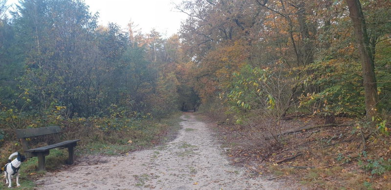 Abija, Putten, The Netherlands
