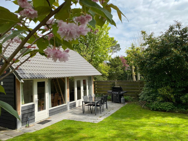 Garden find zandvoort, Bentveld, The Netherlands